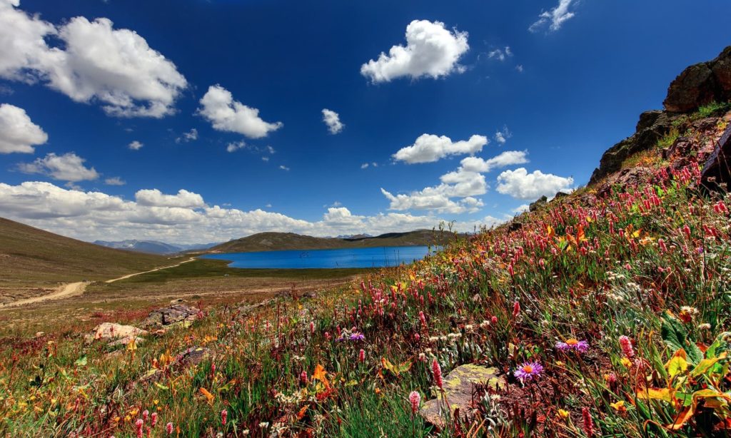 The beauty of Sheosar Lake Deosai Skardu