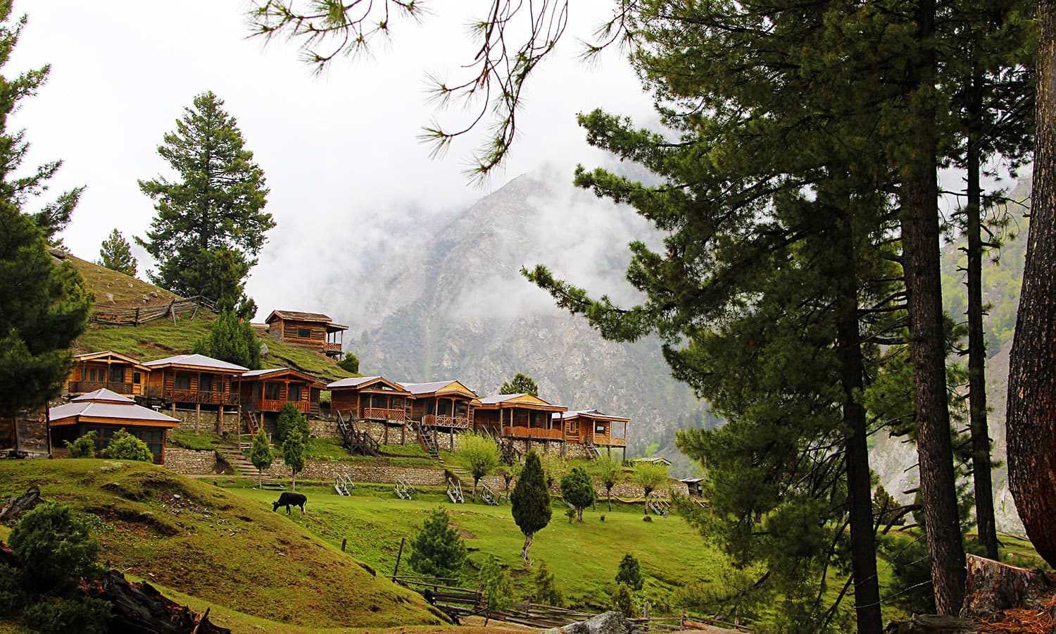 A view at Fairy Meadows