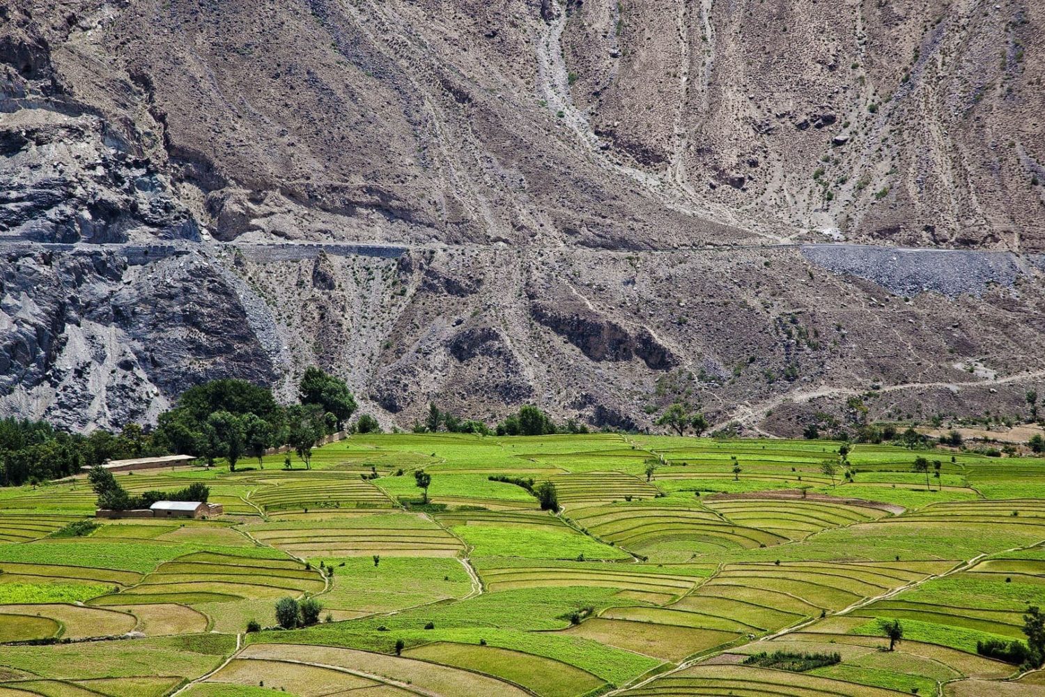Ayun Valley Chitral