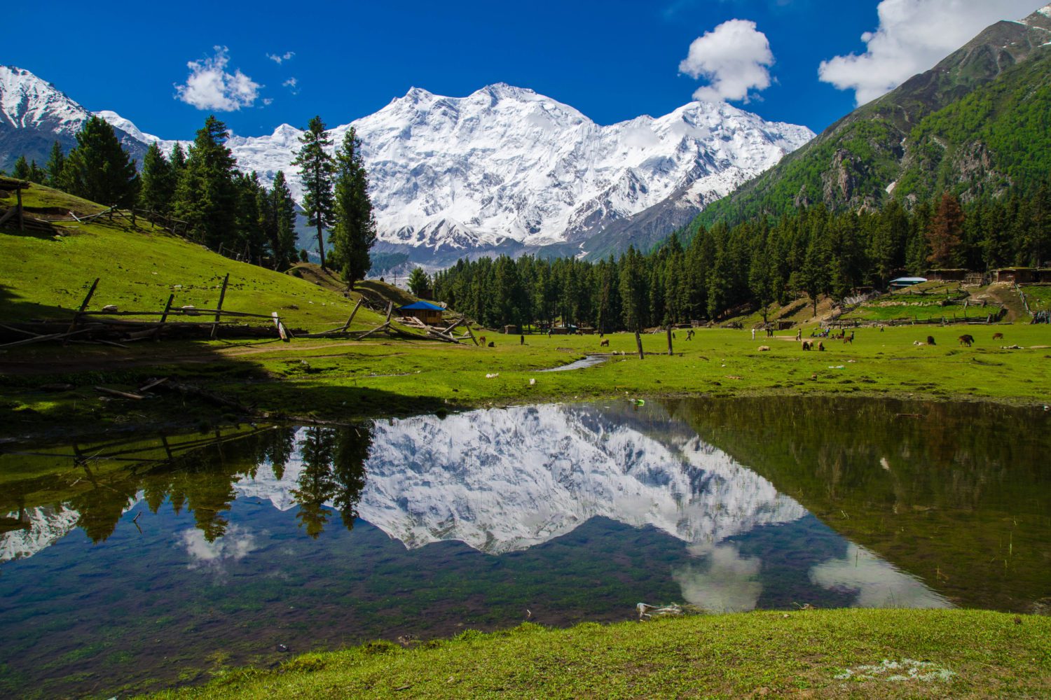 Reflection Lake Fairy Meadows