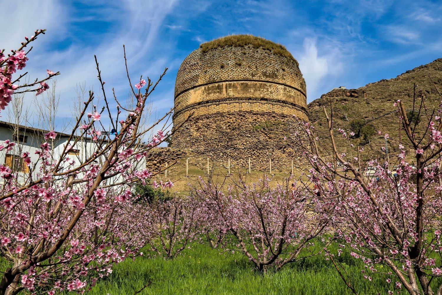 Shingerdar Buddhist stupa stands as a symbol of tolerance in the Swat Valley
