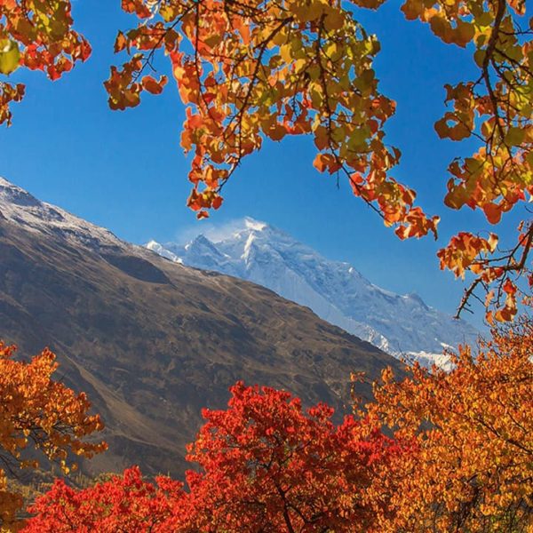 View of Rakaposhi from Hunza valley