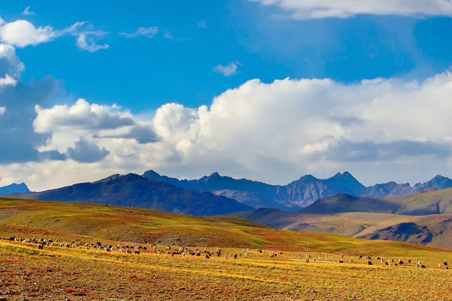 Deosai Plans Skardu Gilgit
