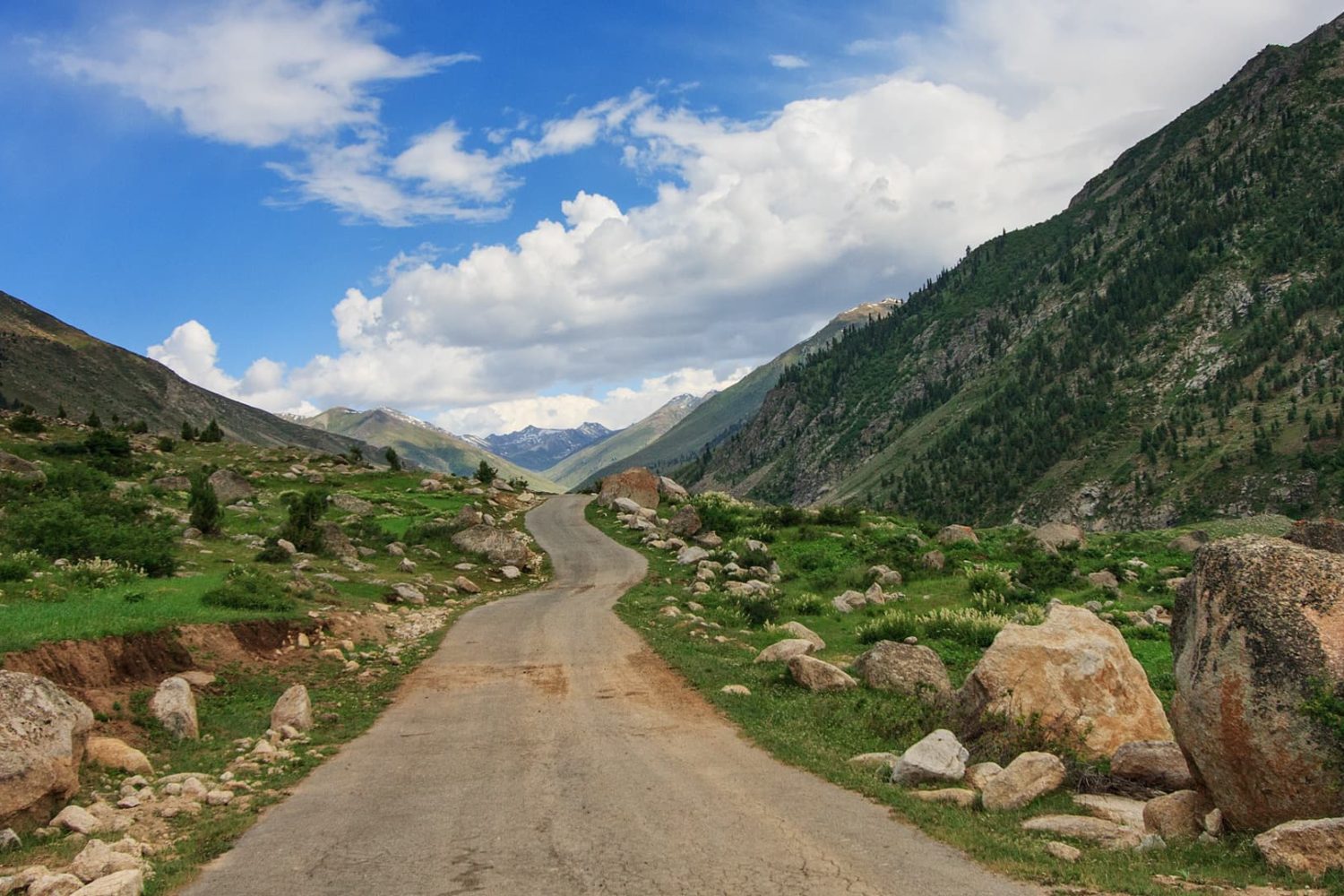Road to Astore Valley from Chillam