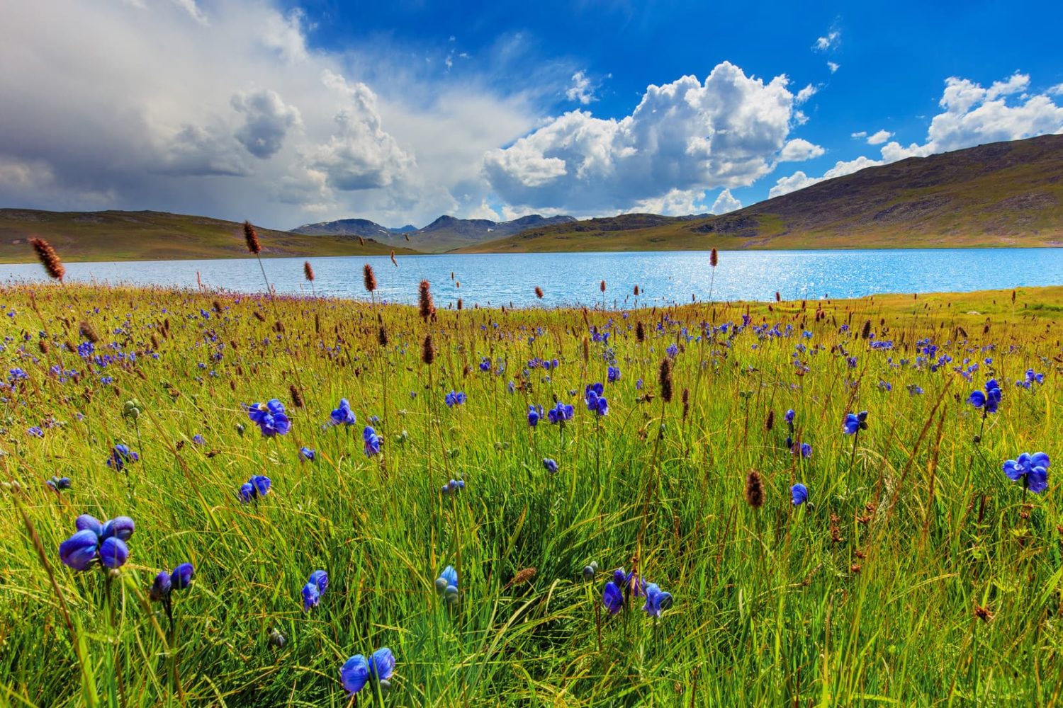 Sheosar Lake in the plains of Deosai Skardu
