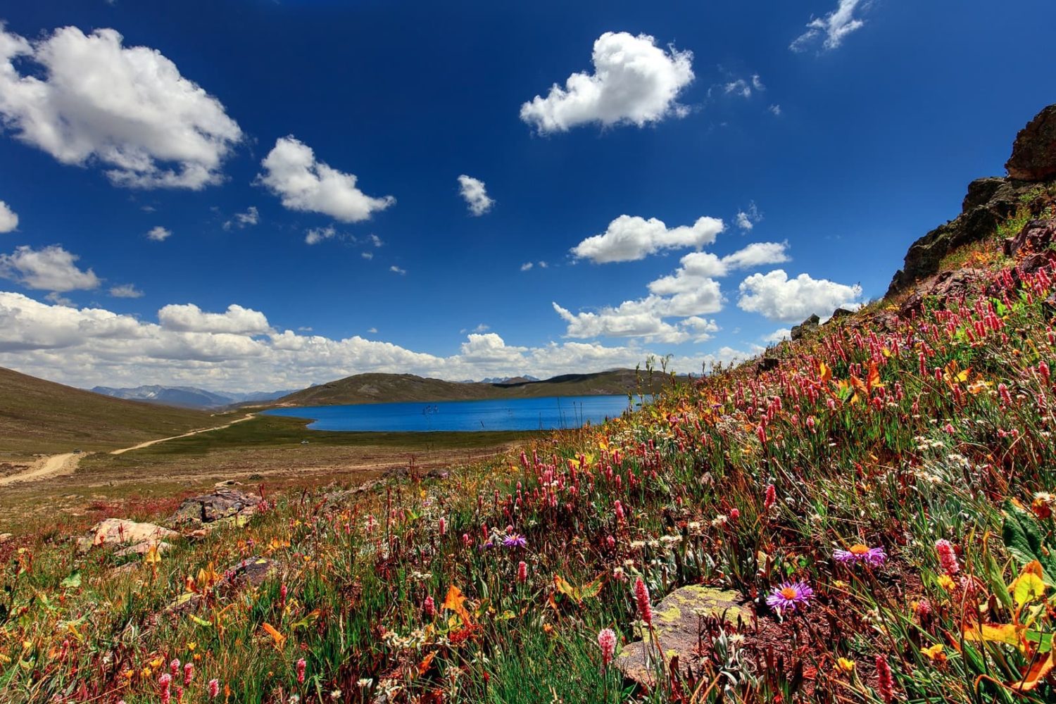 The beauty of Sheosar Lake Deosai Skardu