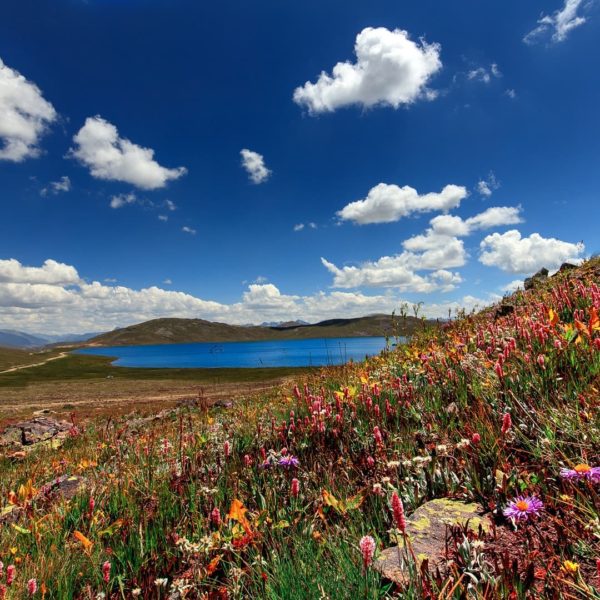 The beauty of Sheosar Lake Deosai Skardu