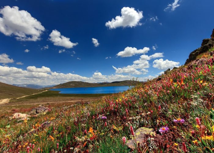 The beauty of Sheosar Lake Deosai Skardu
