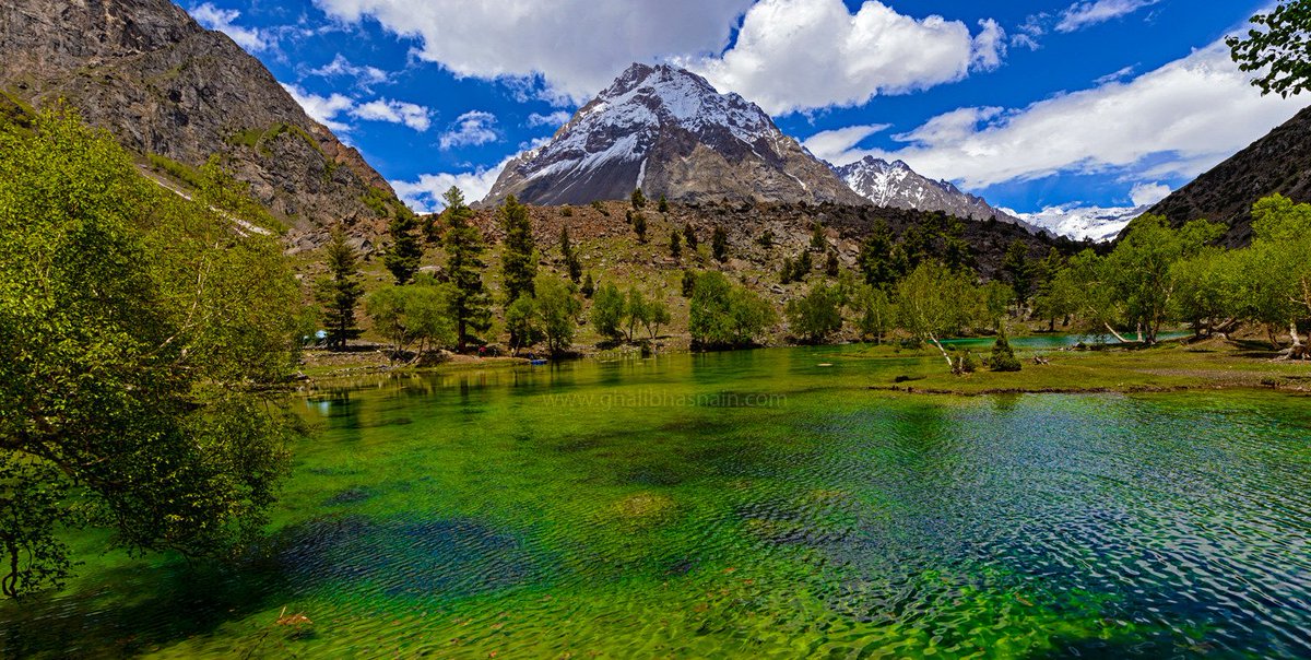 Naltar Valley