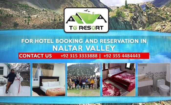 Turgil Green Resort Naltar Valley Gilgit Baltistan