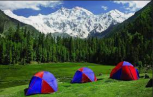 Fairy meadows