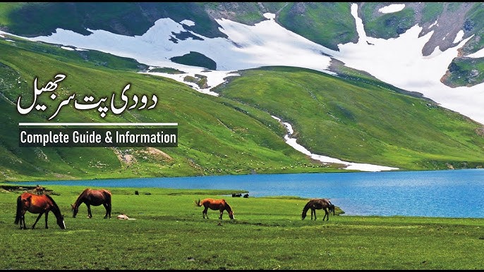 My Travel Experience from Trekking to Dudipatsar: A Complete Tour Guide