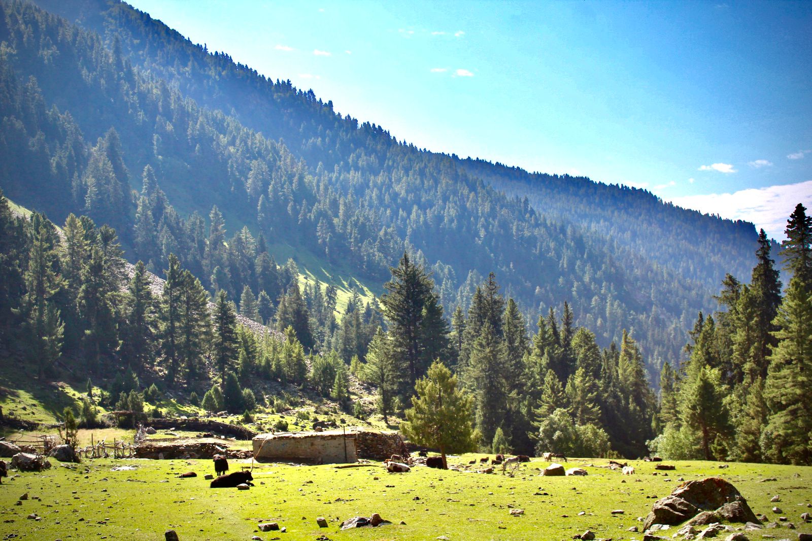 The Untold Journey to Khaltaro Valley: Where Roads Dare You